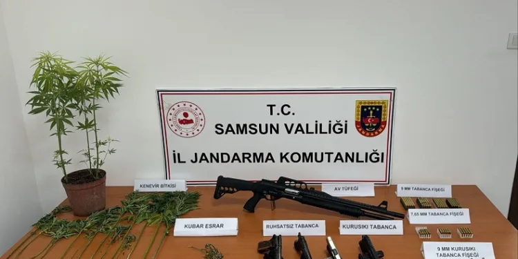 Jandarmadan uyuşturucu ve silah operasyonu