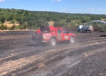 Kırklareli’nde orman yangını