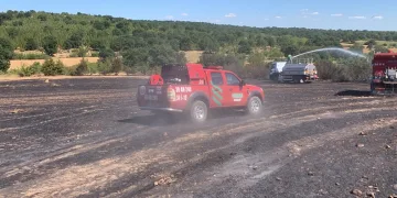 Kırklareli’nde orman yangını