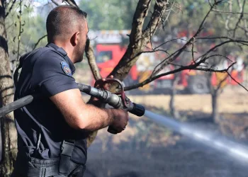 Elazığ’da örtü ve bahçe yangını
