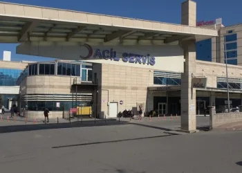 Yılanın soktuğu kişi hastaneye kaldırıldı