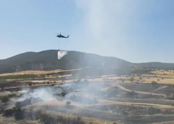 Anız yangınında bin dönümlük arazi küle döndü
