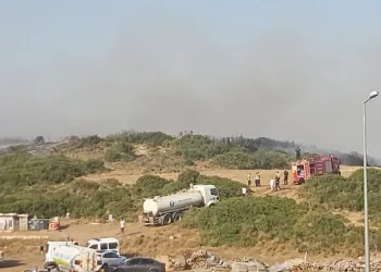Didim’de makilik yangını