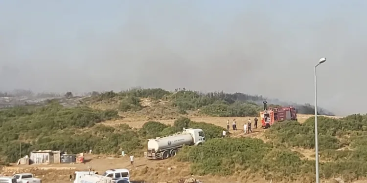 Didim’de makilik yangını