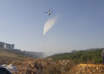 Didim’deki makilik yangını kontrol altına alındı