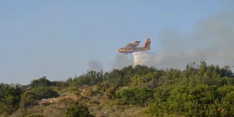 Didim’deki yangında 50 dekar alan zarar gördü
