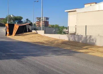 Buğday yüklü traktör devrildi