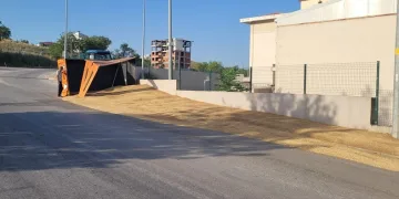 Buğday yüklü traktör devrildi