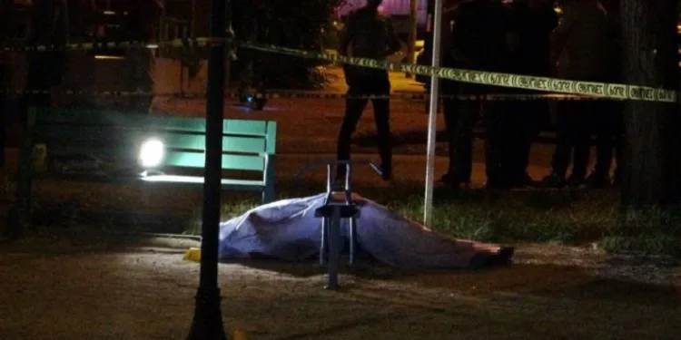 Antalya’da çocuk parkında dehşete düşüren olay
