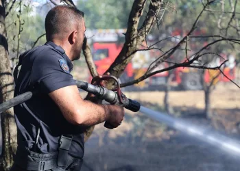 Elazığ’da bir ayda yaşanacak yangın bir günde yaşandı