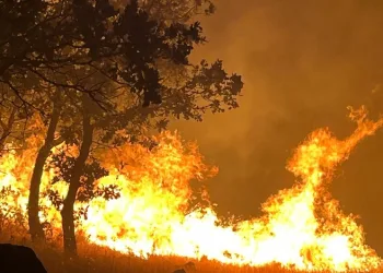 Adıyaman’daki orman yangını devam ediyor