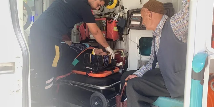 Otomobil yaşlı kadına çarpıp kaçtı