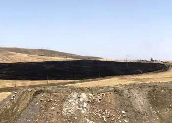 Ankara’da 100 dekarlık buğday tarlası yangını