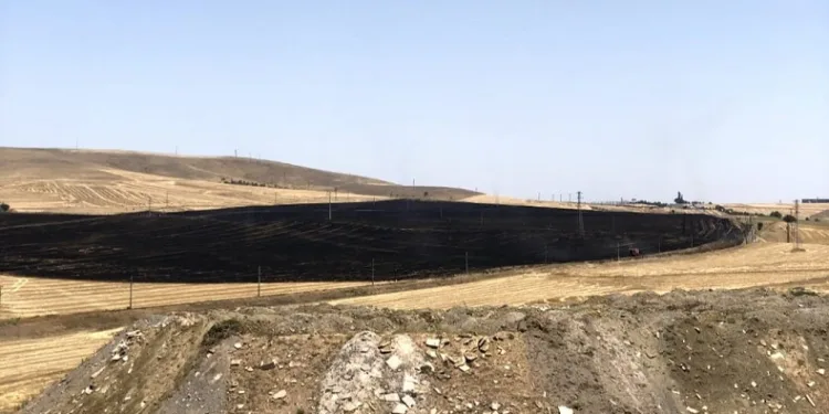 Ankara’da 100 dekarlık buğday tarlası yangını