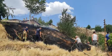 Ankara’da otluk alanda yangın