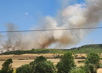 Balıkesir’de makilik alandaki yangın ormana sıçradı