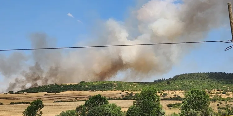 Balıkesir’de makilik alandaki yangın ormana sıçradı
