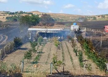 Silivri’de otluk alanda yangın