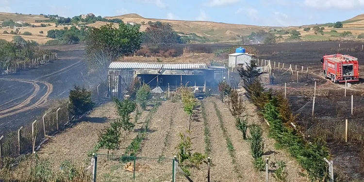 Silivri’de otluk alanda yangın