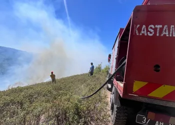 Kastamonu’da orman yangını