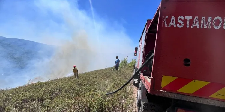 Kastamonu’da orman yangını