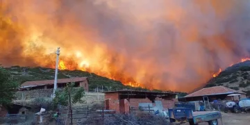 Manisa’da yangın felaketinin yaraları sarılıyor
