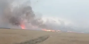 Eskişehir’de 50 dönüm ekili buğday kül oldu