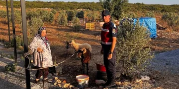Kaybolan hayvanları jandarma buldu