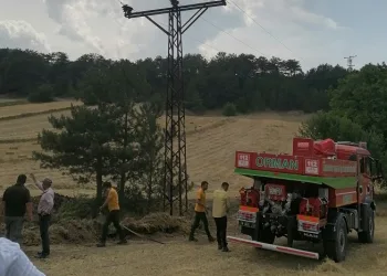 Rüzgarla birlikte havaya kalkan otlar elektrik tellerine çaptı, ot yangını çıktı