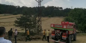 Rüzgarla birlikte havaya kalkan otlar elektrik tellerine çaptı, ot yangını çıktı