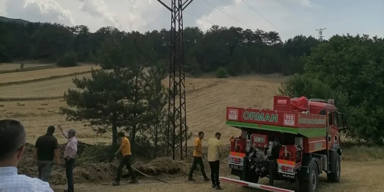 Rüzgarla birlikte havaya kalkan otlar elektrik tellerine çaptı, ot yangını çıktı