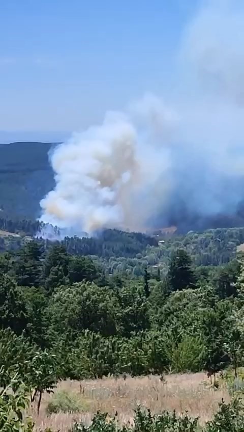 BURSA'NIN DAĞ İLÇELERİNDEN BİRİ OLAN KELES İLÇESİNE BAĞLI BARAKLI MAHALLESİ ÇATAKLI MEVKİİNDE ULUDAĞ'IN GÜNEY YAMAÇLARINI OLUŞTURAN ORMANLIK ALANDA BAŞLAYAN YANGIN ŞİDDETLİ RÜZGAR SEBEBİYLE YAYILIYOR. (AHMET BERKE ERDAL/BURSA-İHA) Bursa'nın dağ ilçelerinden biri olan Keles ilçesine bağlı Baraklı Mahallesi Çataklı mevkiinde Uludağ'ın güney yamaçlarını oluşturan ormanlık alanda başlayan yangın şiddetli rüzgar sebebiyle yayılıyor.