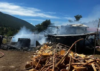 Bolu’da yangın: Ev ve müştemilat küle döndü