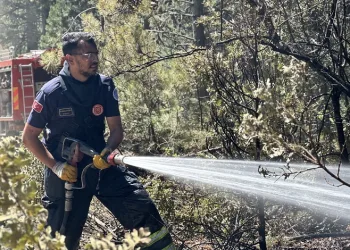 Bursa’daki orman yangınında yürekleri serinleten detay