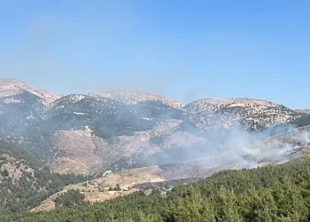 Kahramanmaraş’ta orman yangını