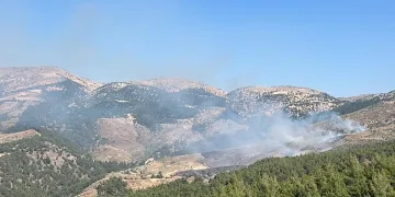Kahramanmaraş’ta orman yangını