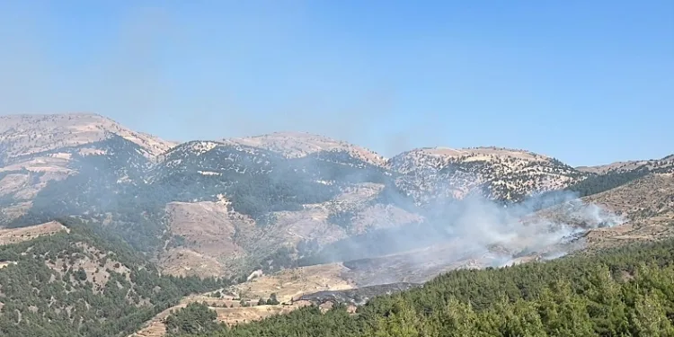 Kahramanmaraş’ta orman yangını