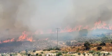 Çeşme’de yangın