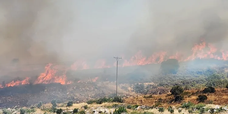 Çeşme’de yangın