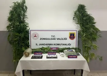 Zonguldak’ta uyuşturucu operasyonunda 1 tutuklama