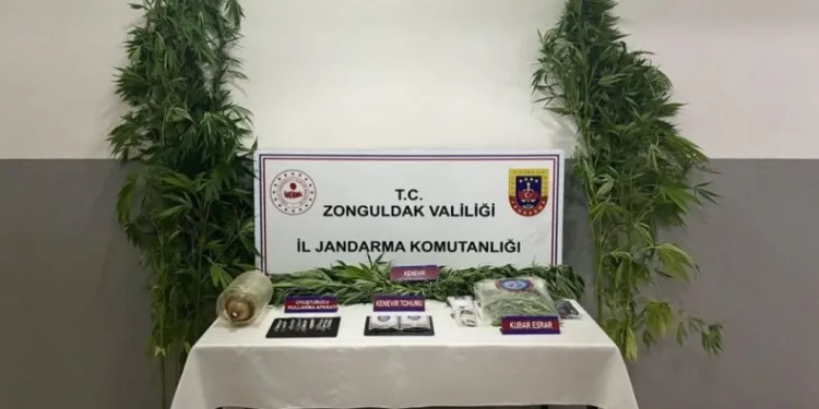 Zonguldak’ta uyuşturucu operasyonunda 1 tutuklama