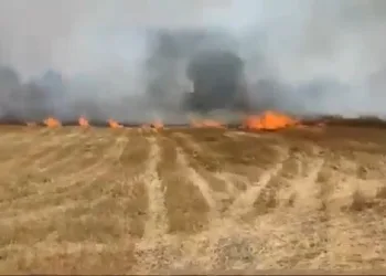 Ekili tarım arazisinde korkutan yangın