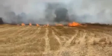 Ekili tarım arazisinde korkutan yangın