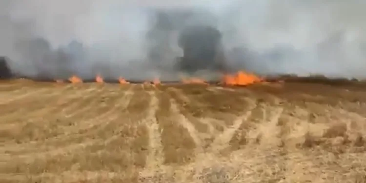 Büyükorhan’daki anız yangını korkuttu