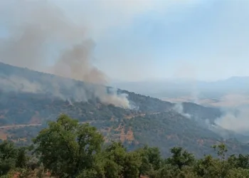 Manisa’daki yangında ekip sayısı 71’e çıktı
