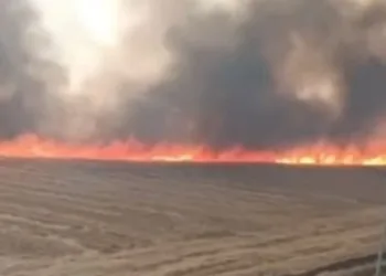 Şanlıurfa’da 100 dönüm arazi ve 200 ton saman kül oldu