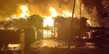 Antalya Olympos’ta Kadir’in Ağaç Evleri tamamen yandı