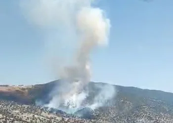 Manisa’da orman yangını