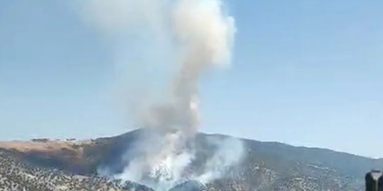 Manisa’da orman yangını