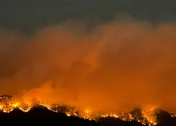 Uşak’ta ormanlık alanda yangın